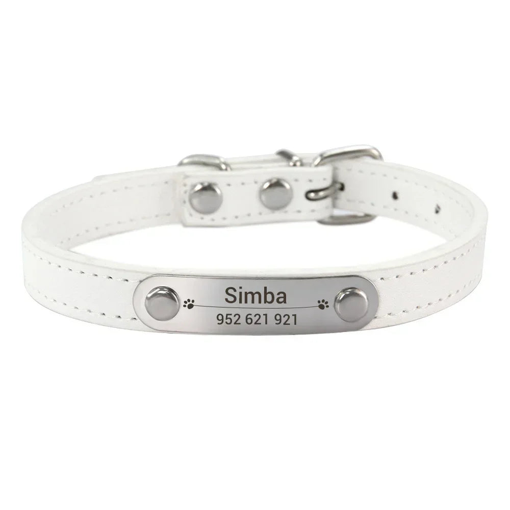 White leather dog collar with engraved nameplate