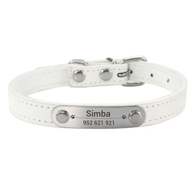 White leather dog collar with engraved nameplate
