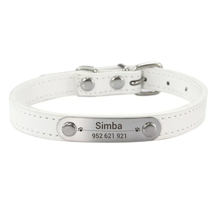 White leather dog collar with engraved nameplate