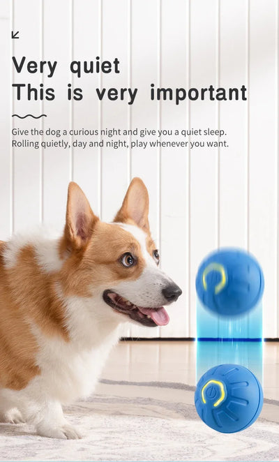 interactive rolling ball for dogs