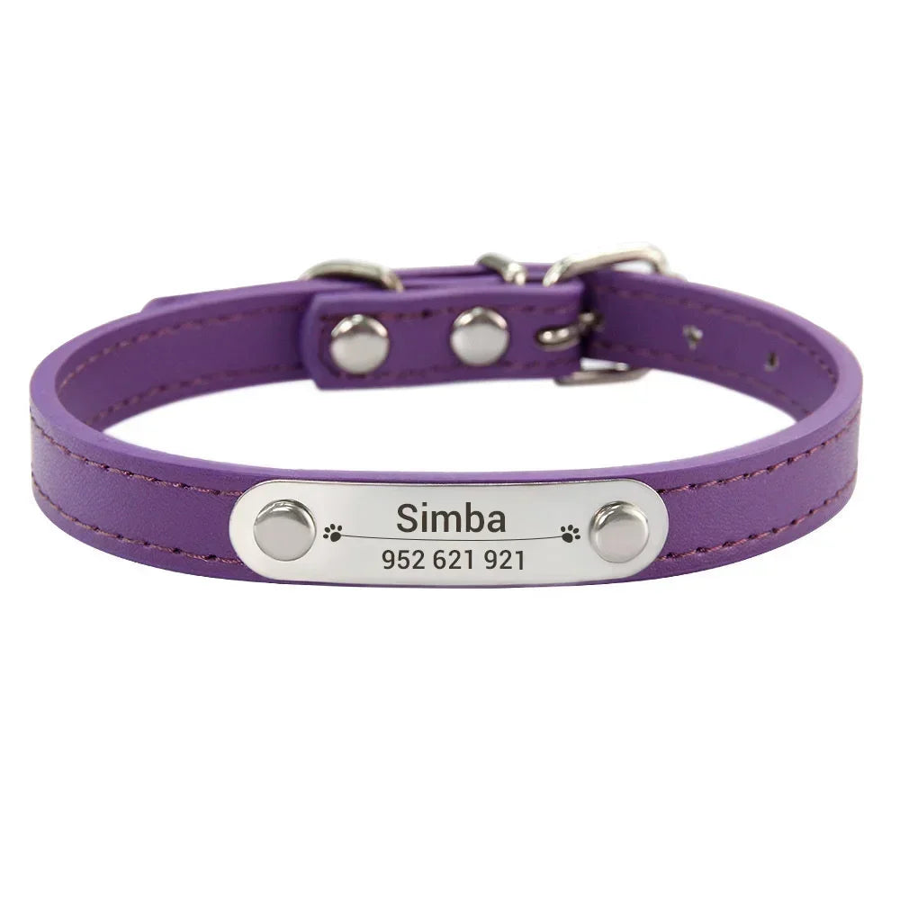Purple dog collar with a nameplate 
