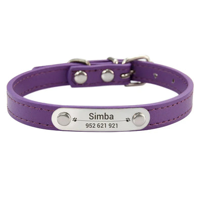 Purple dog collar with a nameplate 