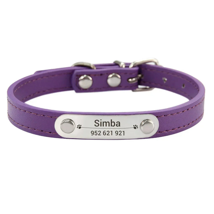 Purple dog collar with a nameplate 