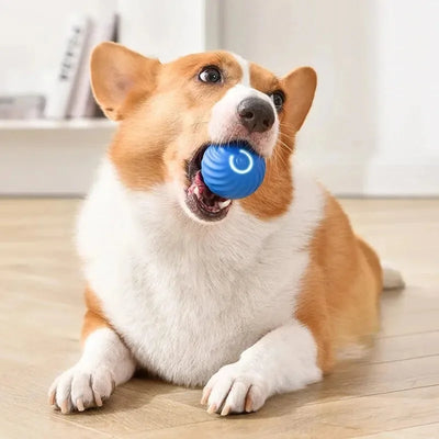 Electronic Interactive Dog Ball