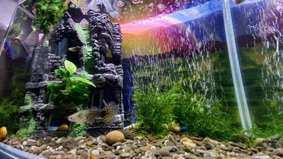 Aquarium Air Stone Bar