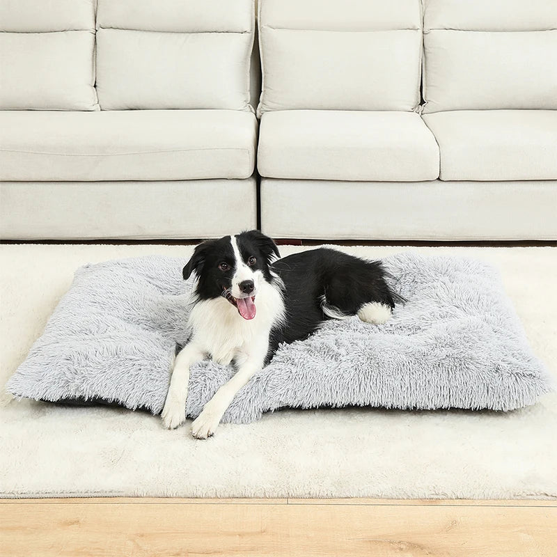 Donut Plush Pet Bed