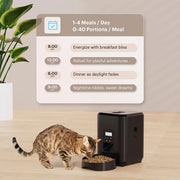 automatic dog and cat food dispenser