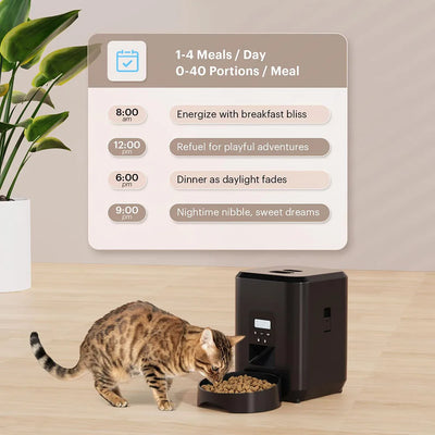 automatic dog and cat food dispenser