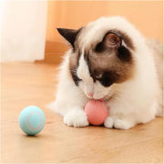 Electronic Interactive Dog Ball