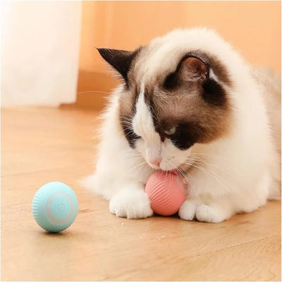 Electronic Interactive Dog Ball