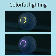 auto-moving pet ball
