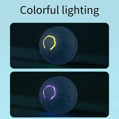 auto-moving pet ball