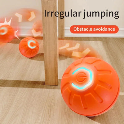 self-rolling dog ball for playtime