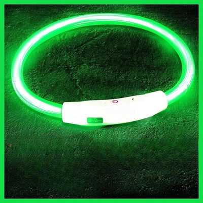 LED Glow Dog Collar