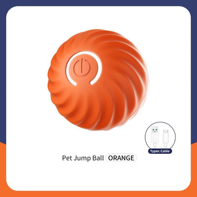 Electronic Interactive Dog Ball