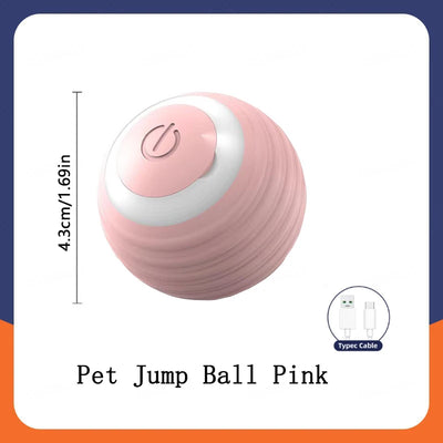 Electronic Interactive Dog Ball