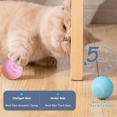self-rolling dog ball for playtime