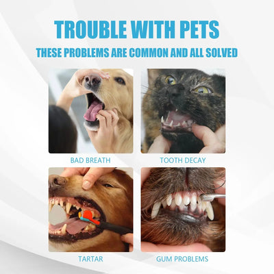 dog and cat dental care