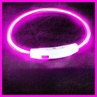 LED Glow Dog Collar