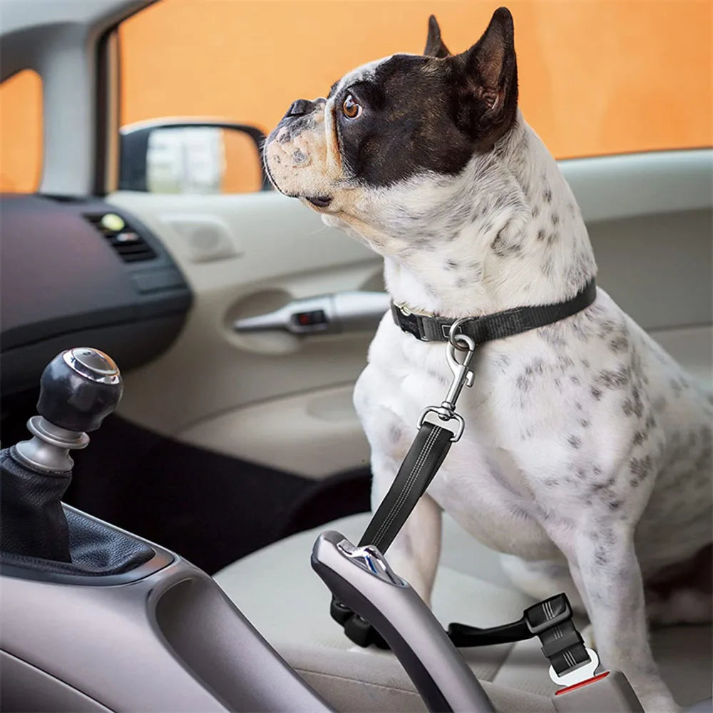 Reflective Dog Car Seat Belt