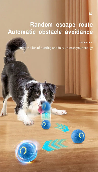 interactive rolling ball for dogs