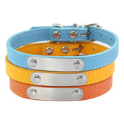 personalized pet safety collar