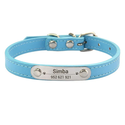 Light blue dog collar with a nameplate 