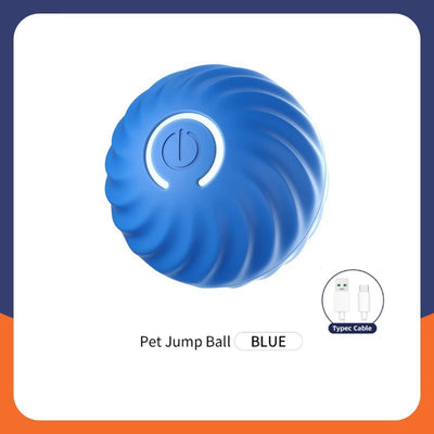 Electronic Interactive Dog Ball