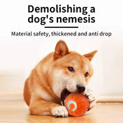 smart motion dog toy ball