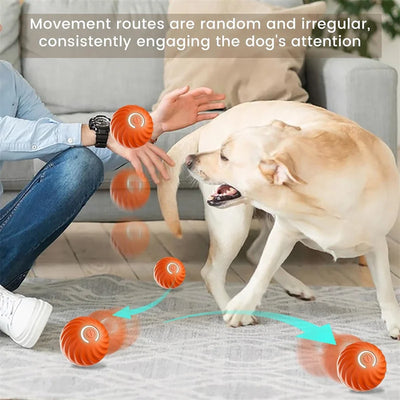 Electronic Interactive Dog Ball