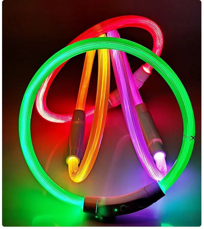 glow dog collar in multiple colors