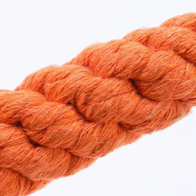 Durable Carrot Rope Dog Chew Toy