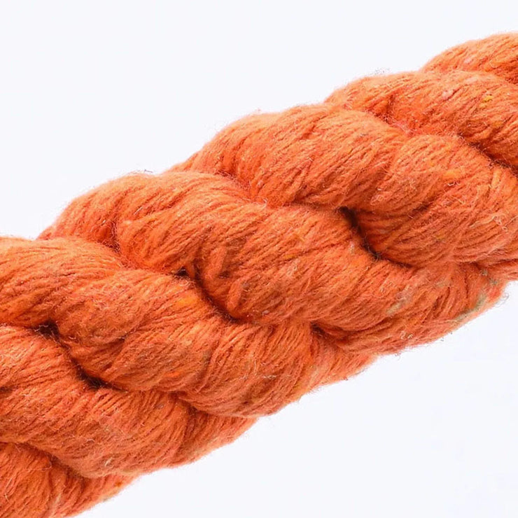 Durable Carrot Rope Dog Chew Toy