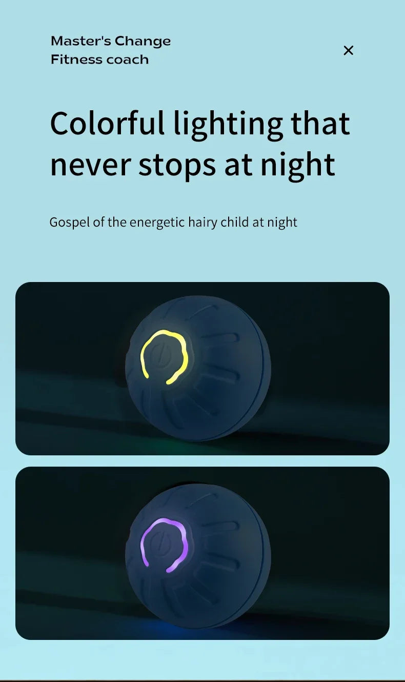 interactive rolling ball for dogs