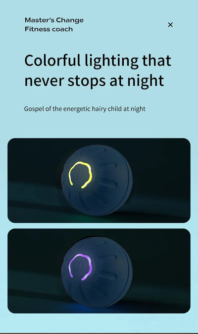 interactive rolling ball for dogs