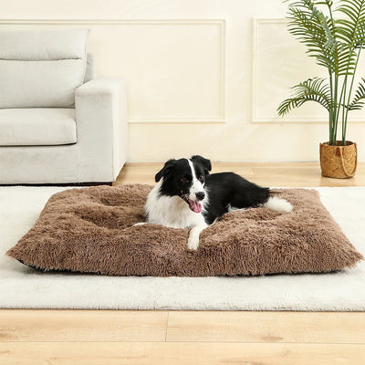Donut Plush Pet Bed