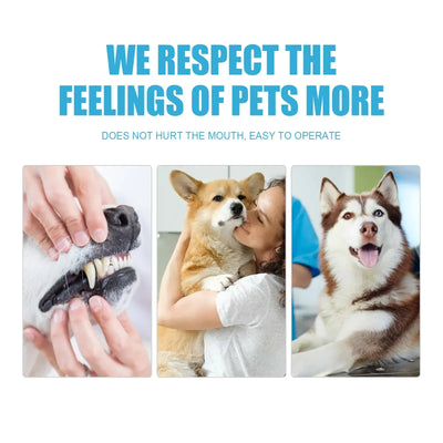 dog and cat dental care
