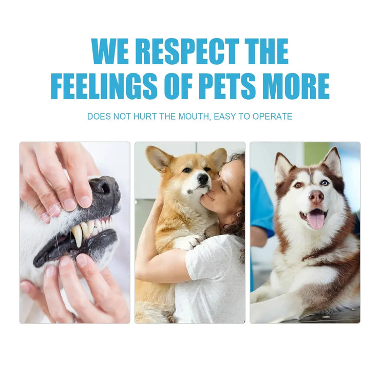 dog and cat dental care