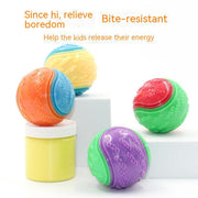 Dog Ball Toy